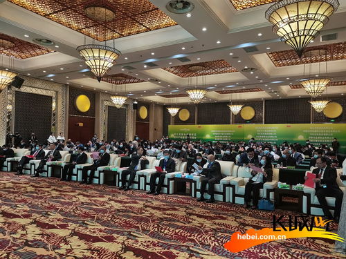 高清组图 河北省举办首届食品调味品出口产销对接会