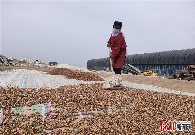 河北新闻网3月24日讯(通讯员吴婷,马朋丽)今天,河北赵县韩村镇沐然