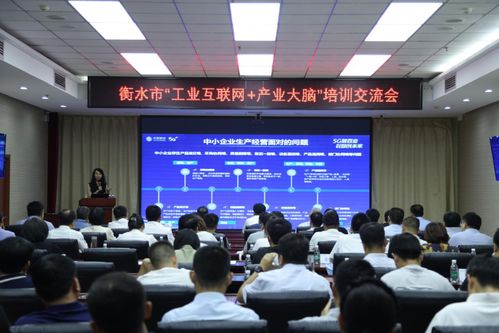 衡水新闻网