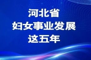 河北新闻的主页 腾讯网