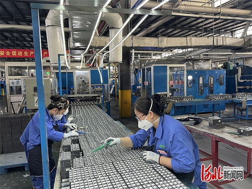 河北新河 一块 蓄电池 链起一个产业集群