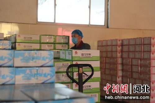 河北宁晋 打造更具影响力的食品加工产业