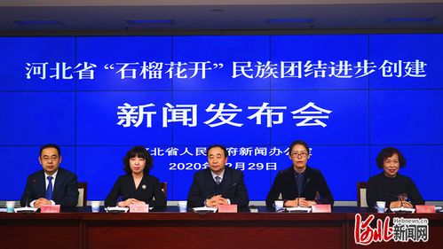 河北省 石榴花开 民族团结进步创建 新闻发布会