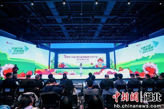 中新网湖北 2024中国 青龙板栗暨青龙农产品武汉推介会举行