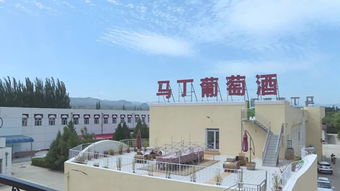 今日河北新闻联播重点推出 怀来 振兴葡萄产业 全力打造 中国波尔多