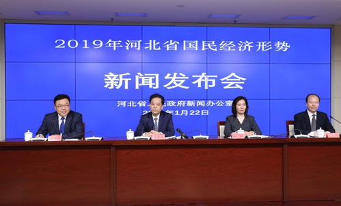 2019年河北省国民经济形势新闻发布会召开河北省地方统计调查项目申报系统
