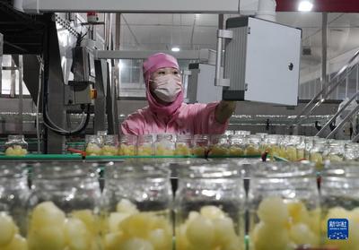 河北遵化:农产品深加工助力乡村振兴
