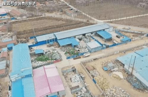 河北吴桥露天塑料颗粒加工厂污染严重