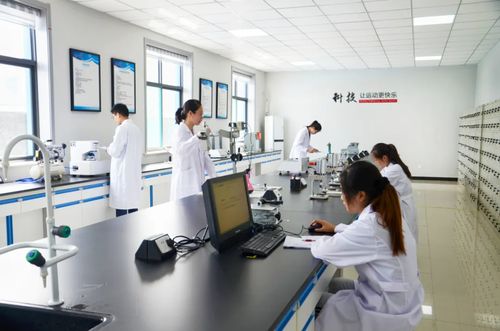 衡水新闻网