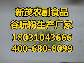 河北谷朊粉生产翘楚 新茂农副食品——小麦蛋白领域的主力军