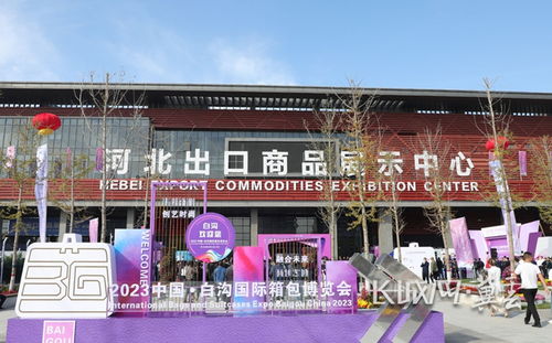 衡水新闻网 聚焦河北发展，传递地方声音