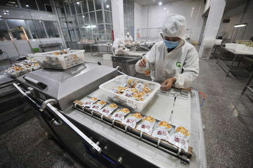 河北兴隆 板栗产业提档升级助力脱贫攻坚