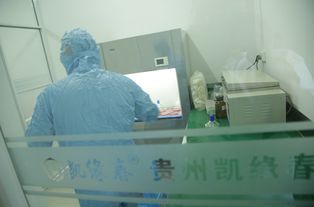 凯缘春蓝莓红酒开展315试饮活动 高品质让消费者更安心